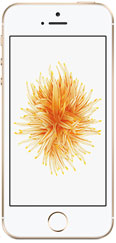Apple iPhone SE 16GB Gold